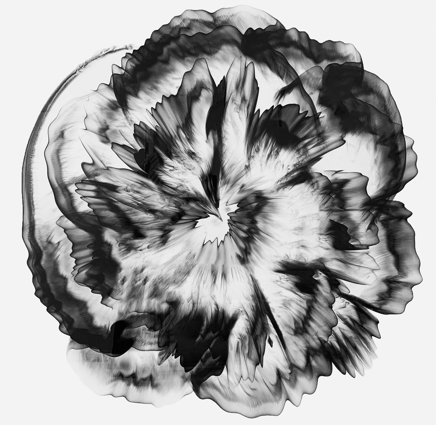 Dennis Lee Mitchell Westwater Dennis Lee Mitchell Westwater