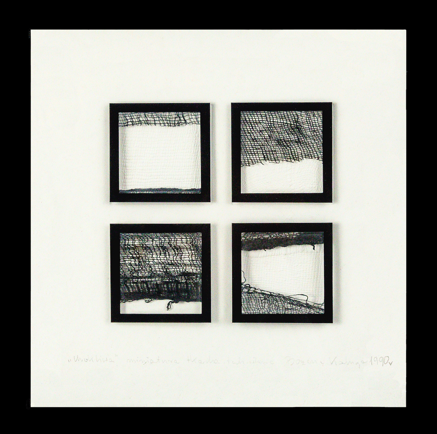 Kaluga Tba.336 Urokliwa (charming) Photo Jarvis Lawson Kaluga Tba.336 Urokliwa (charming) Photo Jarvis Lawson