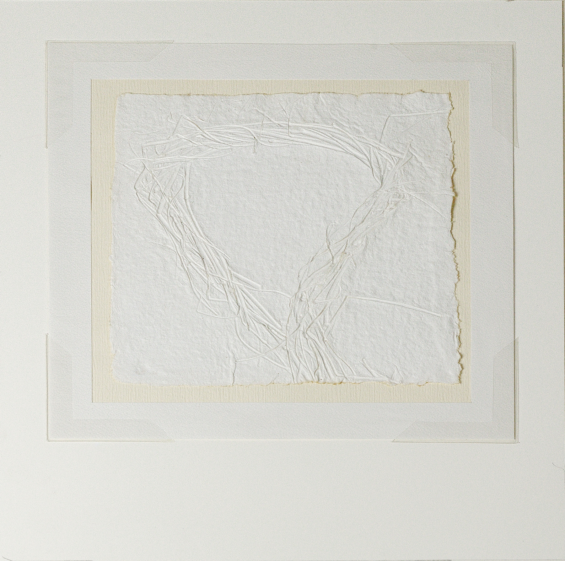 Manczak Ir2013.362 Study For Zarnowiec Herbarium Zycie Po Zyciu Life After Life Photo Jarvis Lawson Manczak Ir2013.362 Study For Zarnowiec Herbarium Zycie Po Zyciu Life After Life Photo Jarvis Lawson