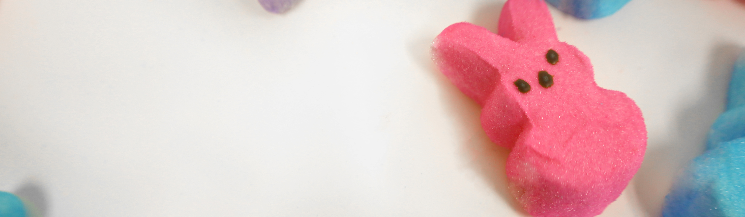 Peeps Banner Image Peeps Banner Image