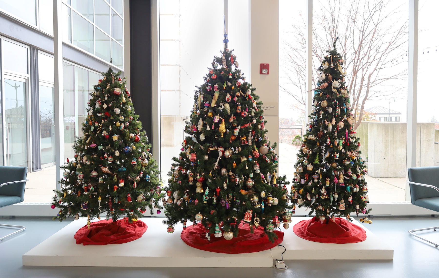 Festive Forest 2025 Photo Rachel Comande 02