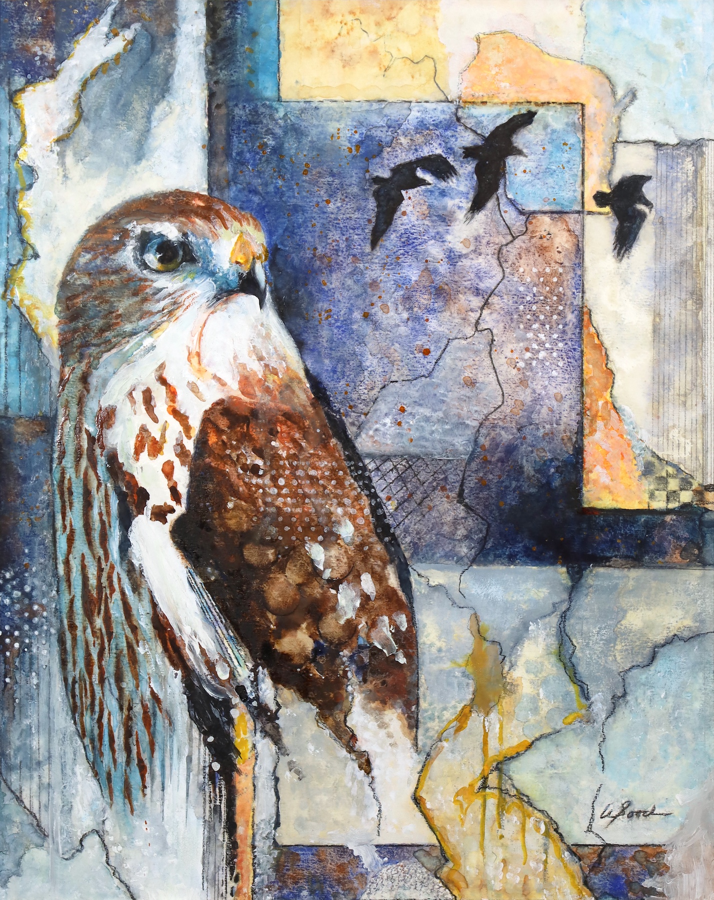 Wood Birding In Wisconsin Photo Tyler Potter