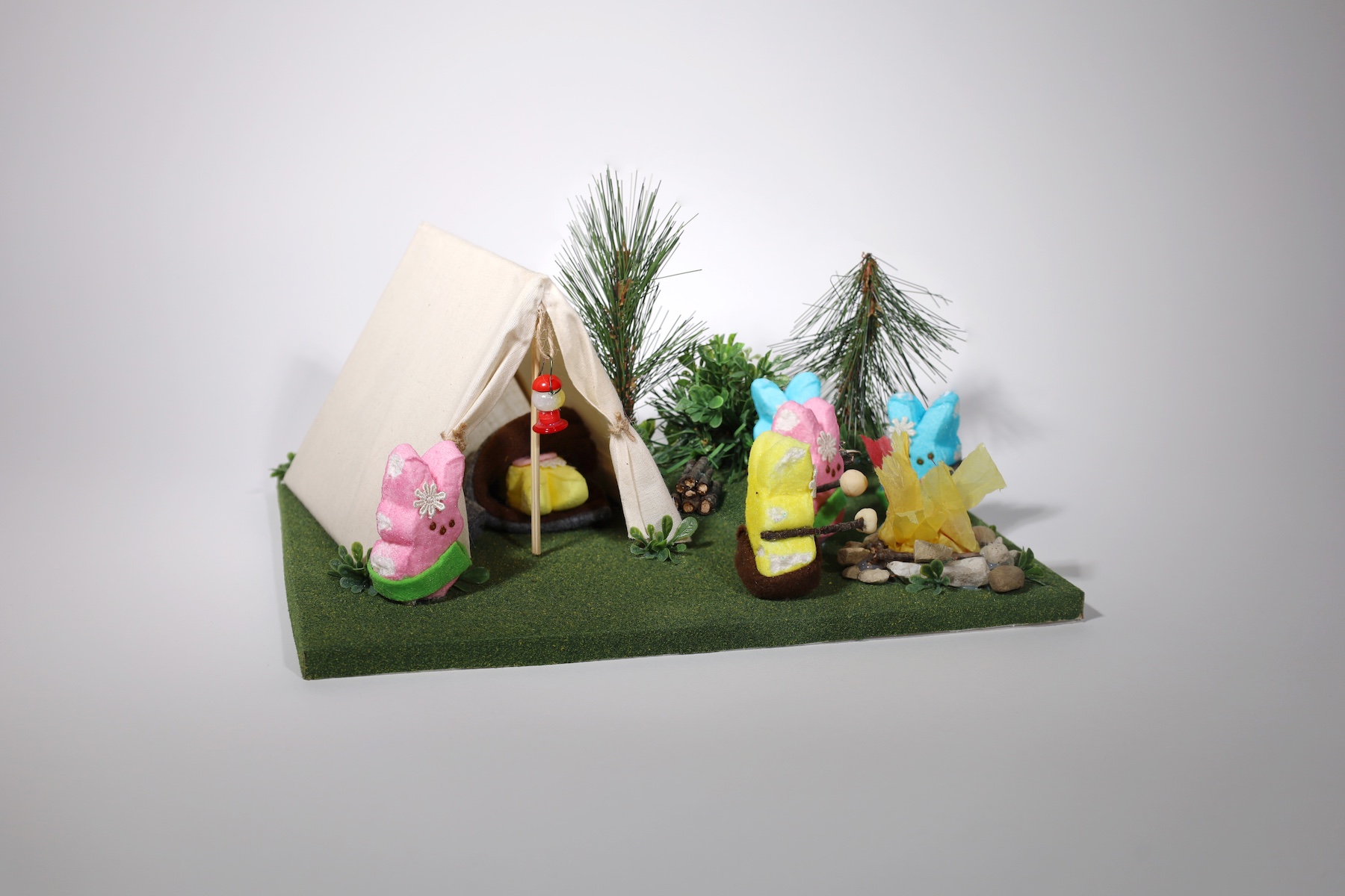 Barnes, Charlotte Peep Scouts Go Camping Barnes, Charlotte Peep Scouts Go Camping