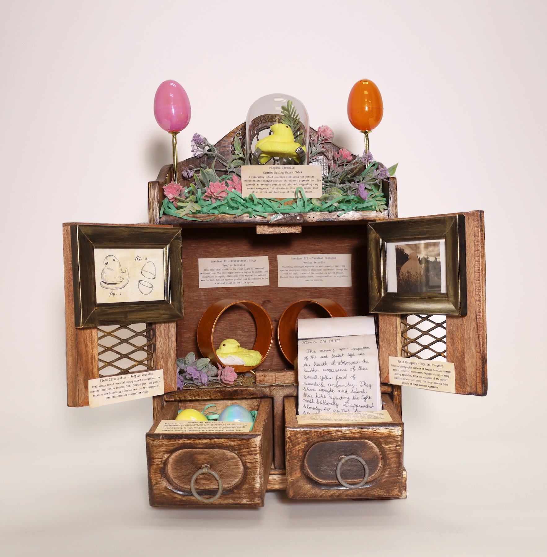 Graves, Hollace Edwin Aster’s Curated Cabinet Of Curiosity Graves, Hollace Edwin Aster's Curated Cabinet Of Curiosity