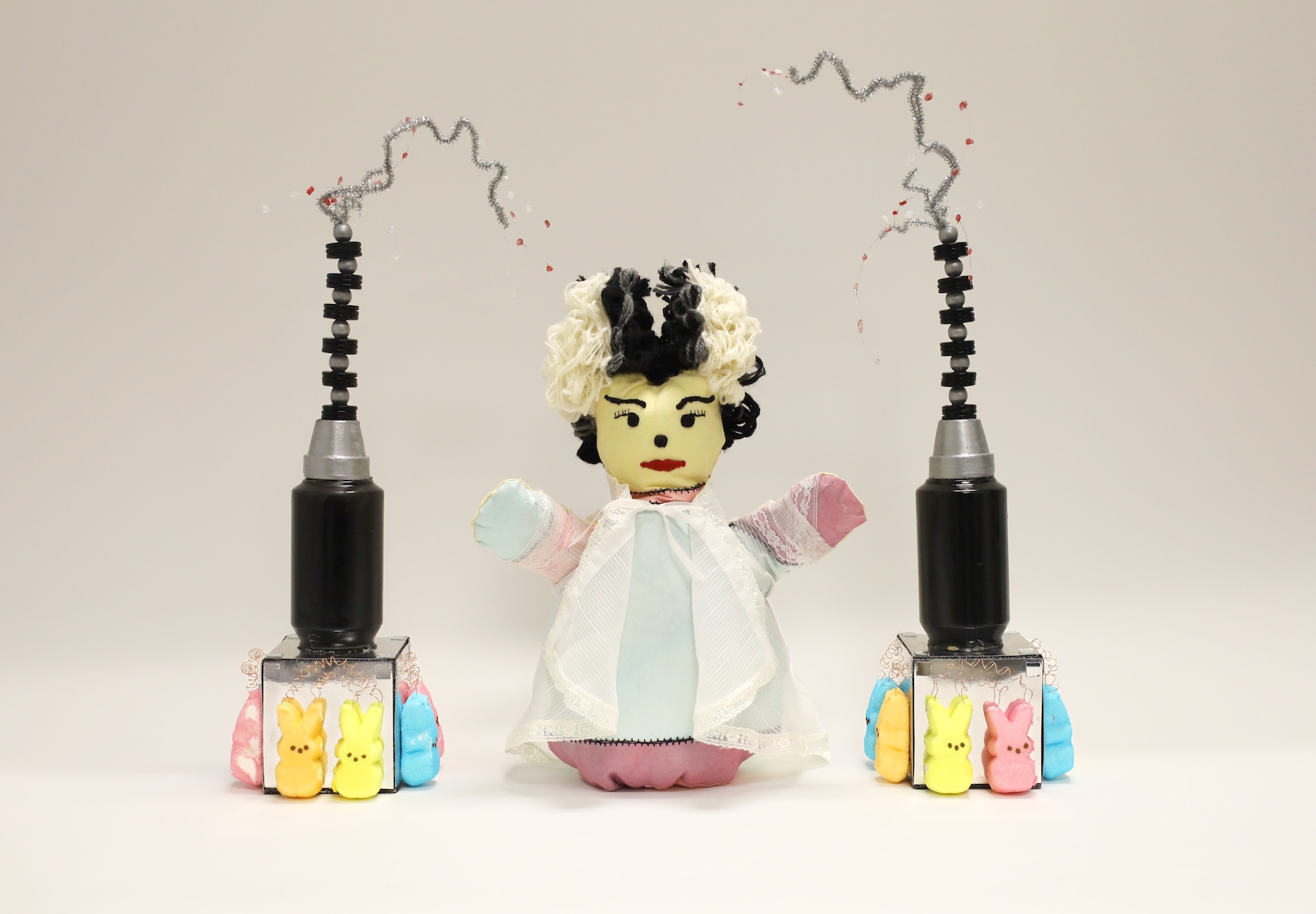 Raab, Brenda The Bride Of Frankenpeep Raab, Brenda The Bride Of Frankenpeep