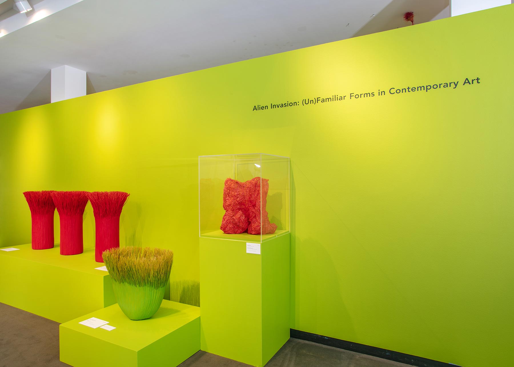 Installation view of Alien Invasion: (Un)Familiar Forms in Contemporary Art, with large-scale baskets against a lime green wall