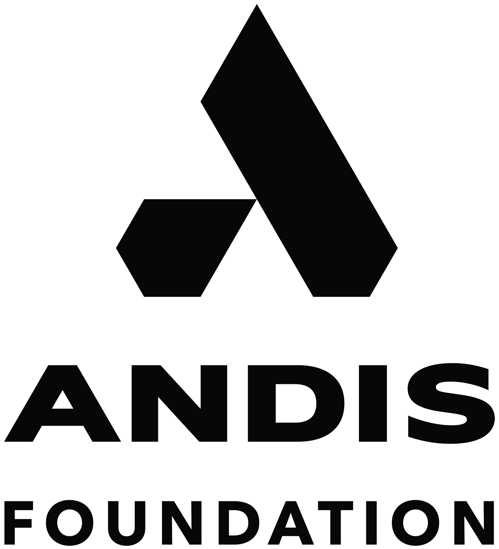 Andis Foundation logo