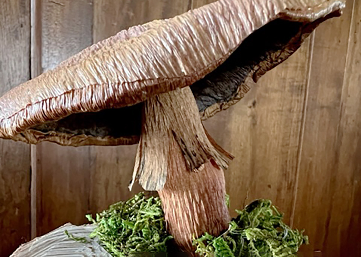 Laura Gillespie Brown Paper Mushroom Crop