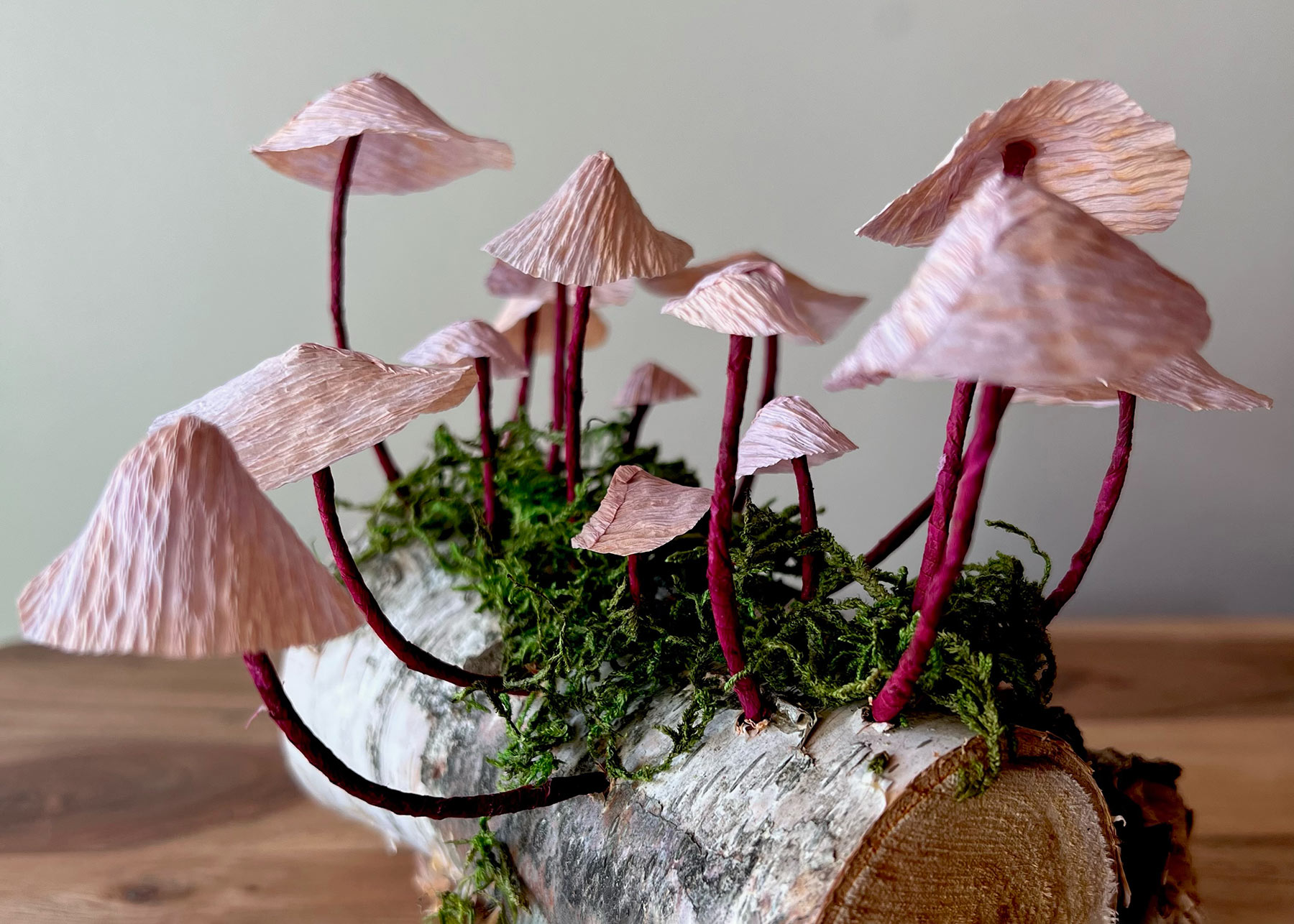 Paper Mini Mushrooms Workshop - Racine Art Museum