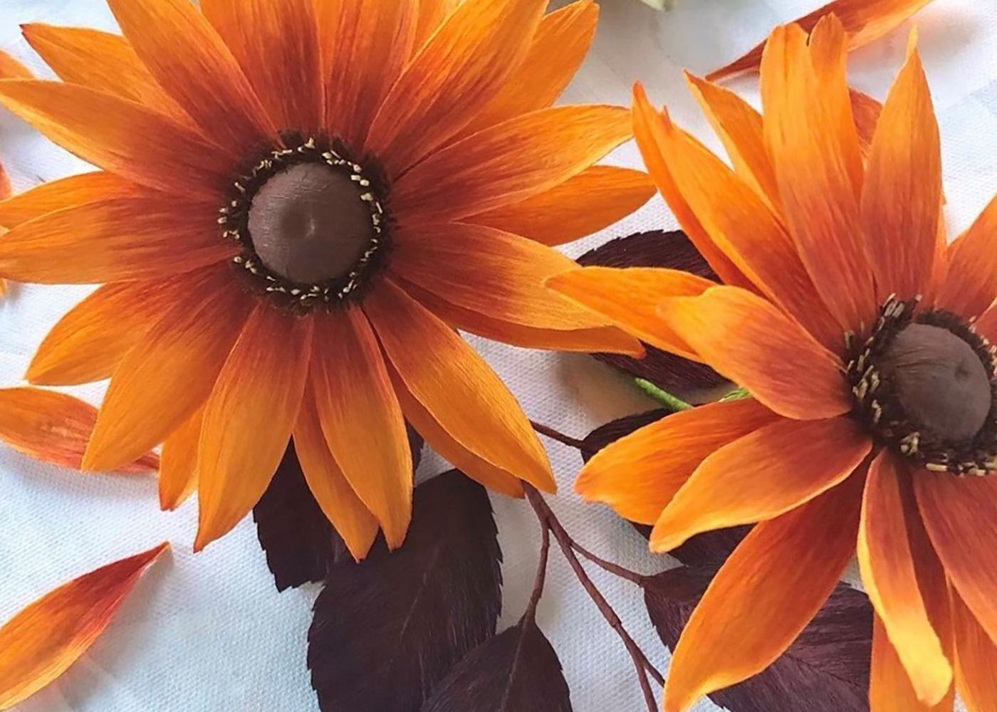 Gillespie Paper Rudbeckia Flower Crop