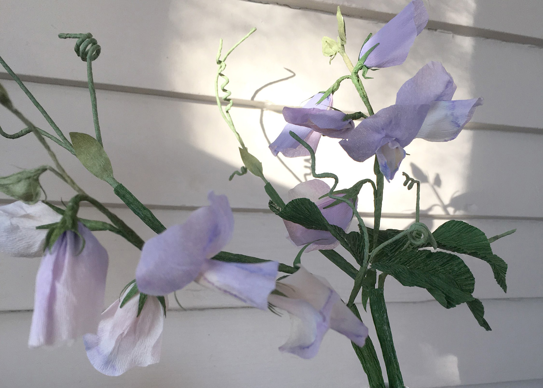 Paper Sweet Pea Branch Laura Gillespie Crop