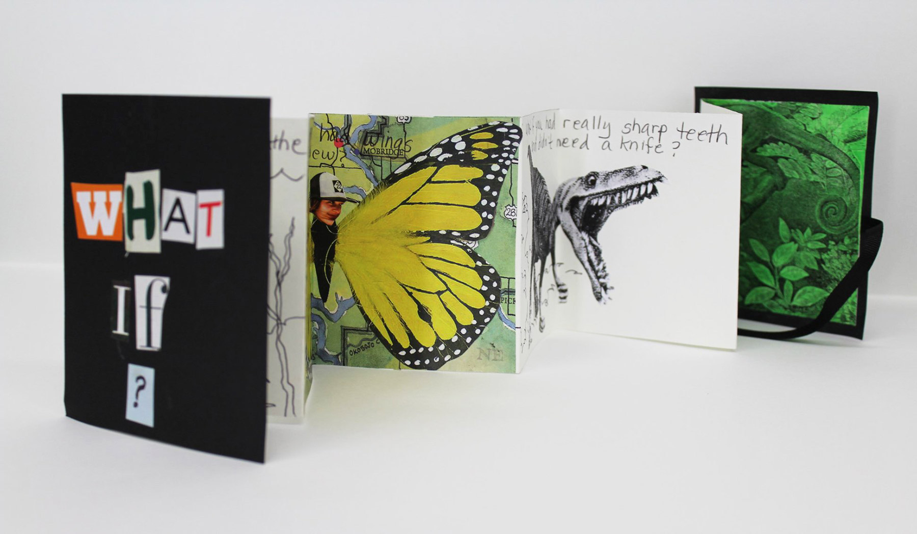 accordion-book.jpg
