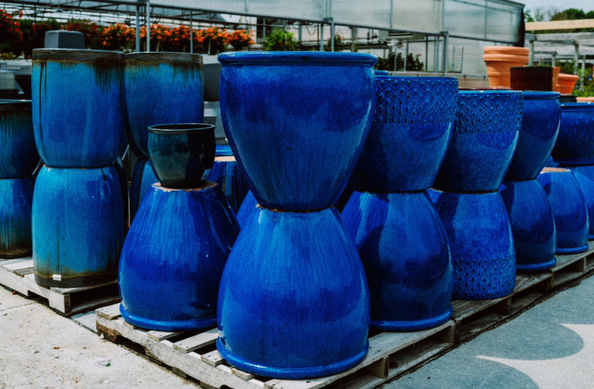 blue-pots--wc.png