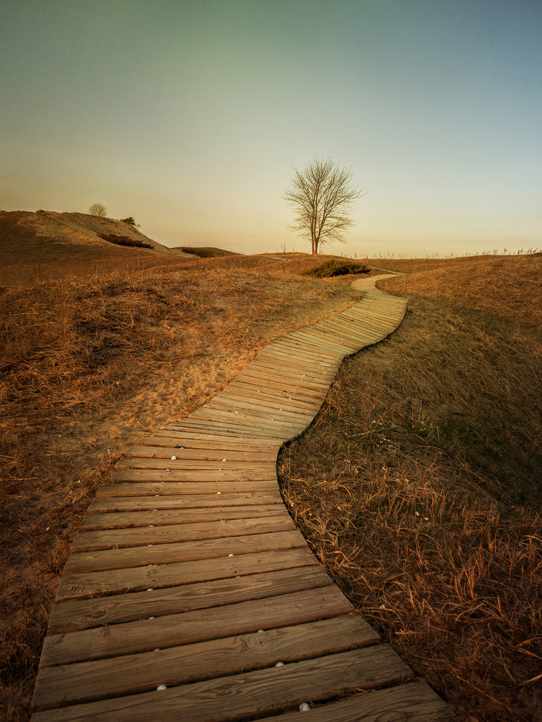 Cordwalk J Sincock Cordwalk J Sincock