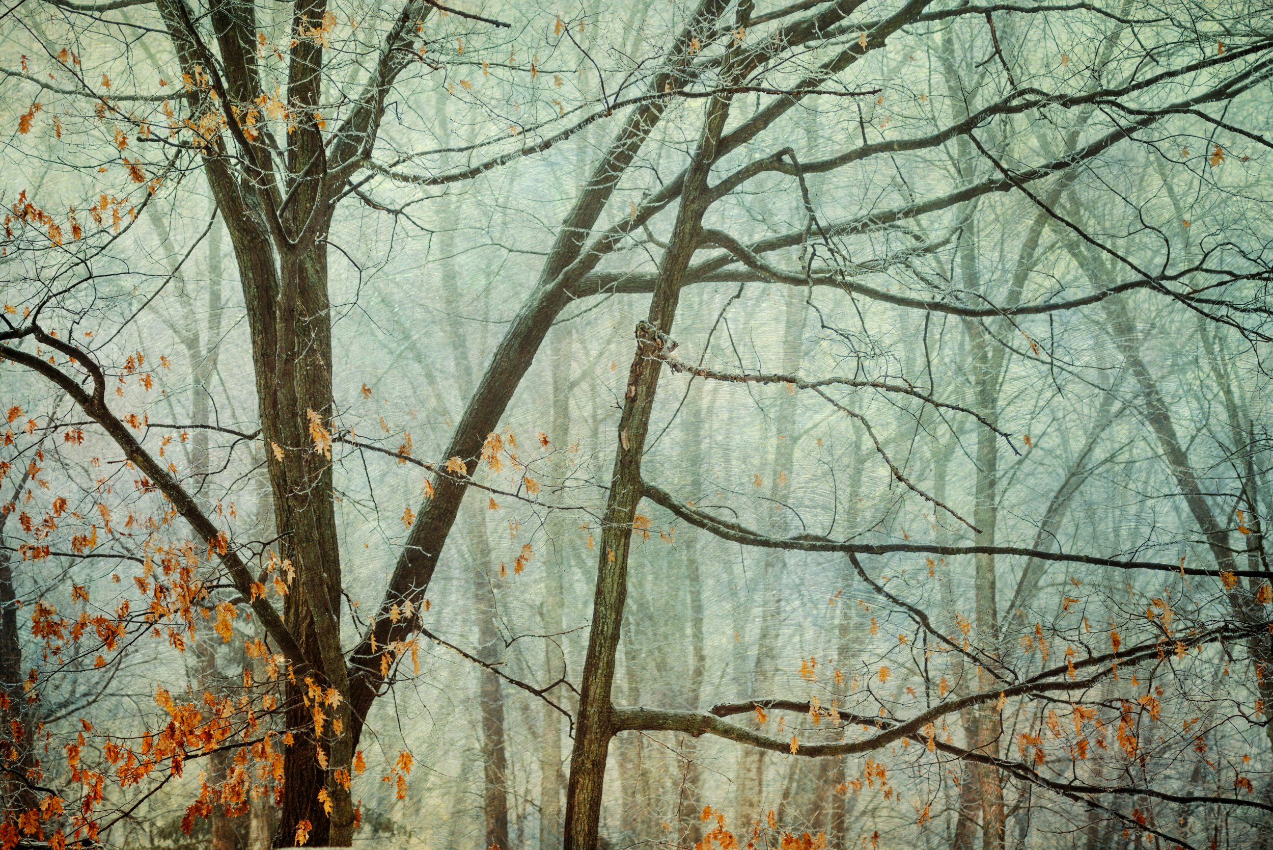 Freezing Rain J Sincock Freezing Rain J Sincock