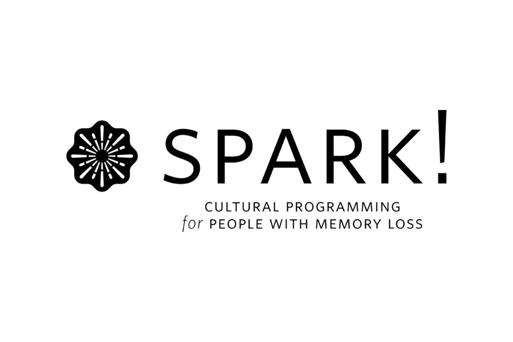 Spark Logo Banner